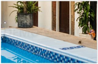 Island Life Blakpackers Hostal Colonial Zone Island Life Blakpackers Hostal Colonial Zone